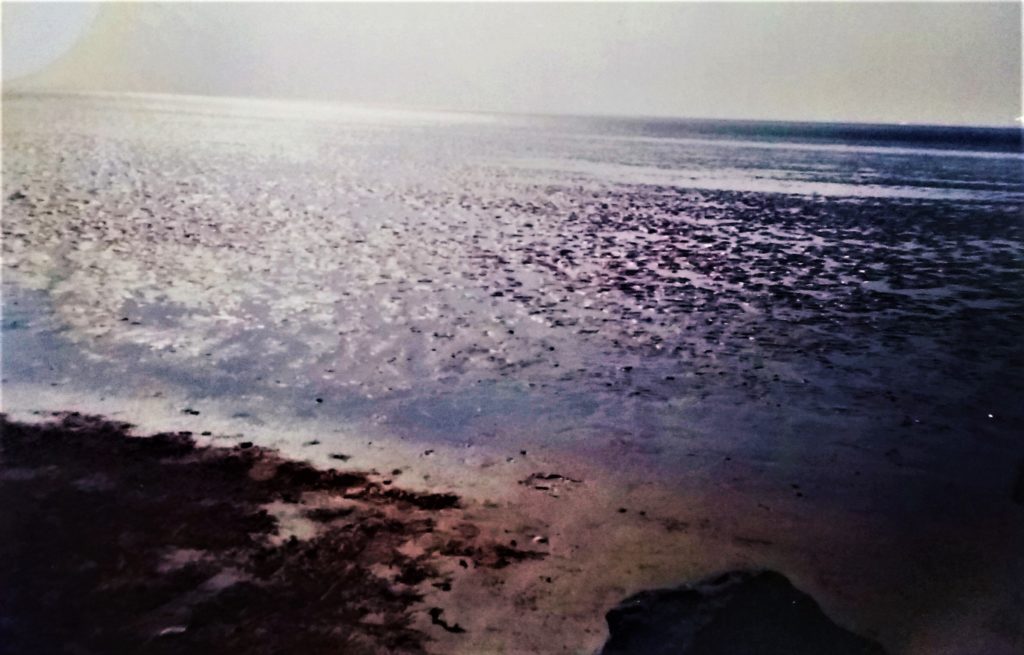 beach-chandipur-balasore