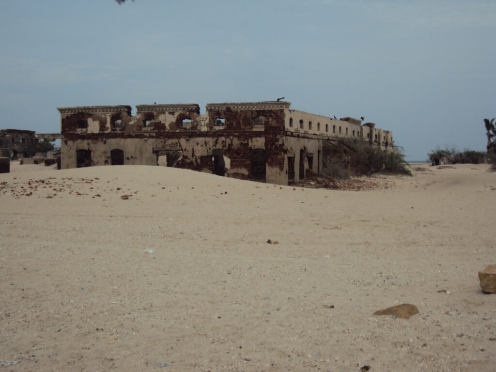 SNAKE PARK, CHENNAI romulus whitaker Tamil Nadu beach shore temple chennai kanya kumari madurai pondicherry mahabalipuram kodaikanal rameshwaram heritage historical DHANUSHKODI VILLAGE