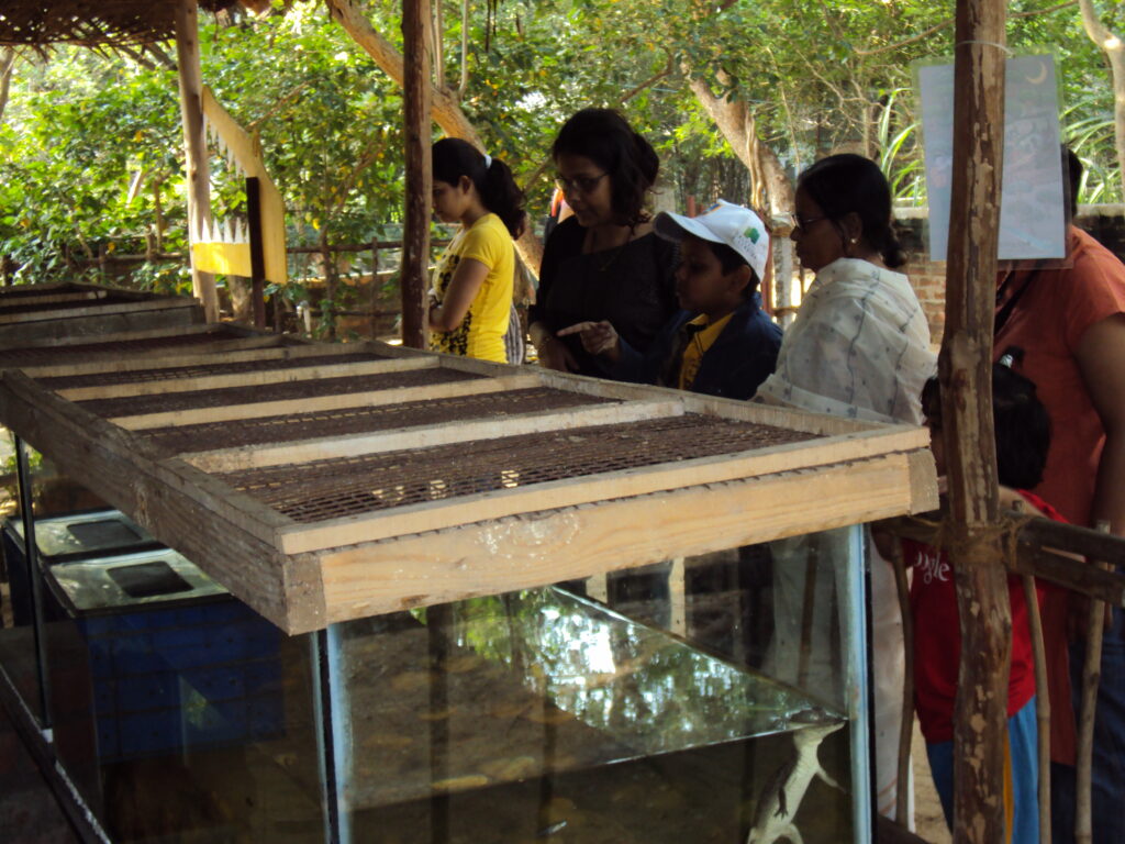 SNAKE PARK, CHENNAI romulus whitaker Tamil Nadu beach shore temple chennai kanya kumari madurai pondicherry mahabalipuram kodaikanal rameshwaram heritage historical