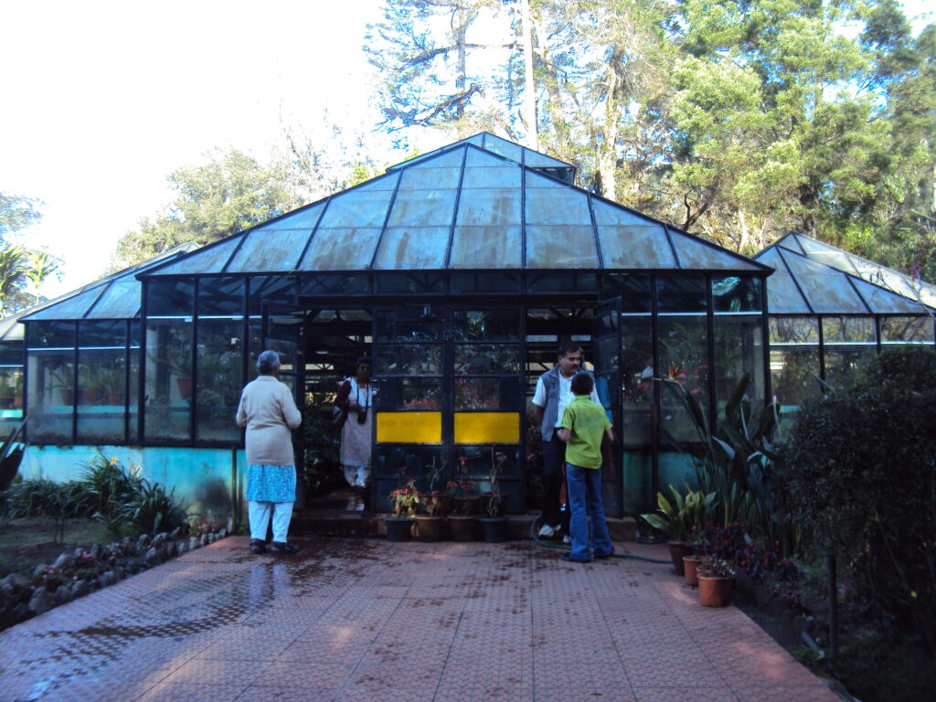 SNAKE PARK, CHENNAI romulus whitaker Tamil Nadu beach shore temple chennai kanya kumari madurai pondicherry mahabalipuram kodaikanal rameshwaram heritage historical Bryant Park