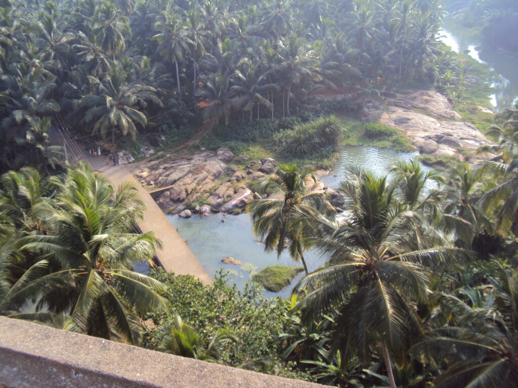 MATHOOR HANGING BRIDGE SNAKE PARK, CHENNAI romulus whitaker Tamil Nadu beach shore temple chennai kanya kumari madurai pondicherry mahabalipuram kodaikanal rameshwaram heritage historical