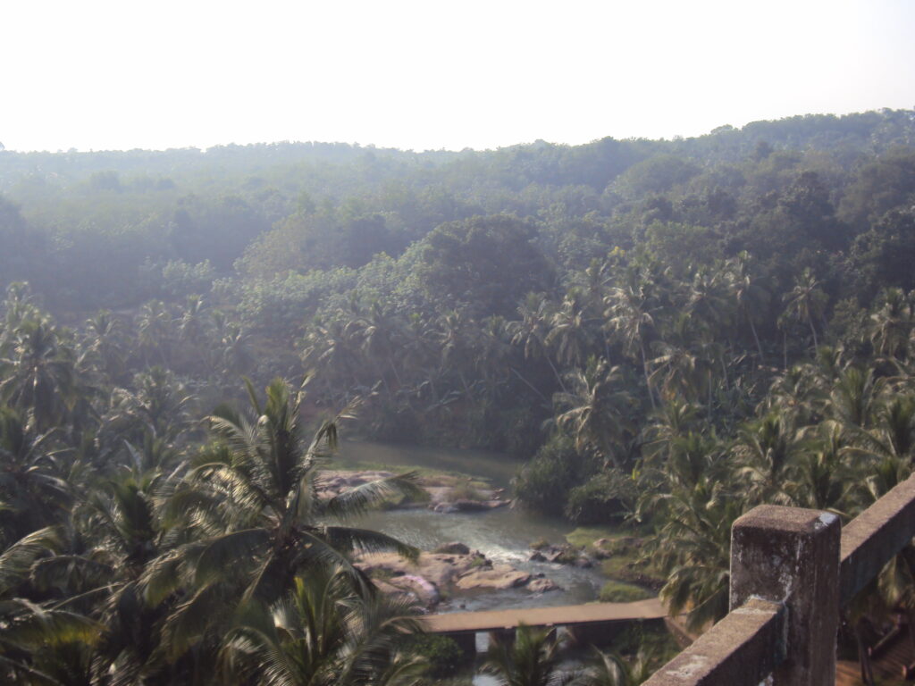 SNAKE PARK, CHENNAI romulus whitaker Tamil Nadu beach shore temple chennai kanya kumari madurai pondicherry mahabalipuram kodaikanal rameshwaram heritage historical MATHOOR HANGING BRIDGE