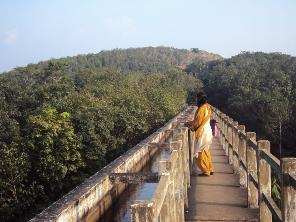 SNAKE PARK, CHENNAI romulus whitaker Tamil Nadu beach shore temple chennai kanya kumari madurai pondicherry mahabalipuram kodaikanal rameshwaram heritage historical MATHOOR HANGING BRIDGE