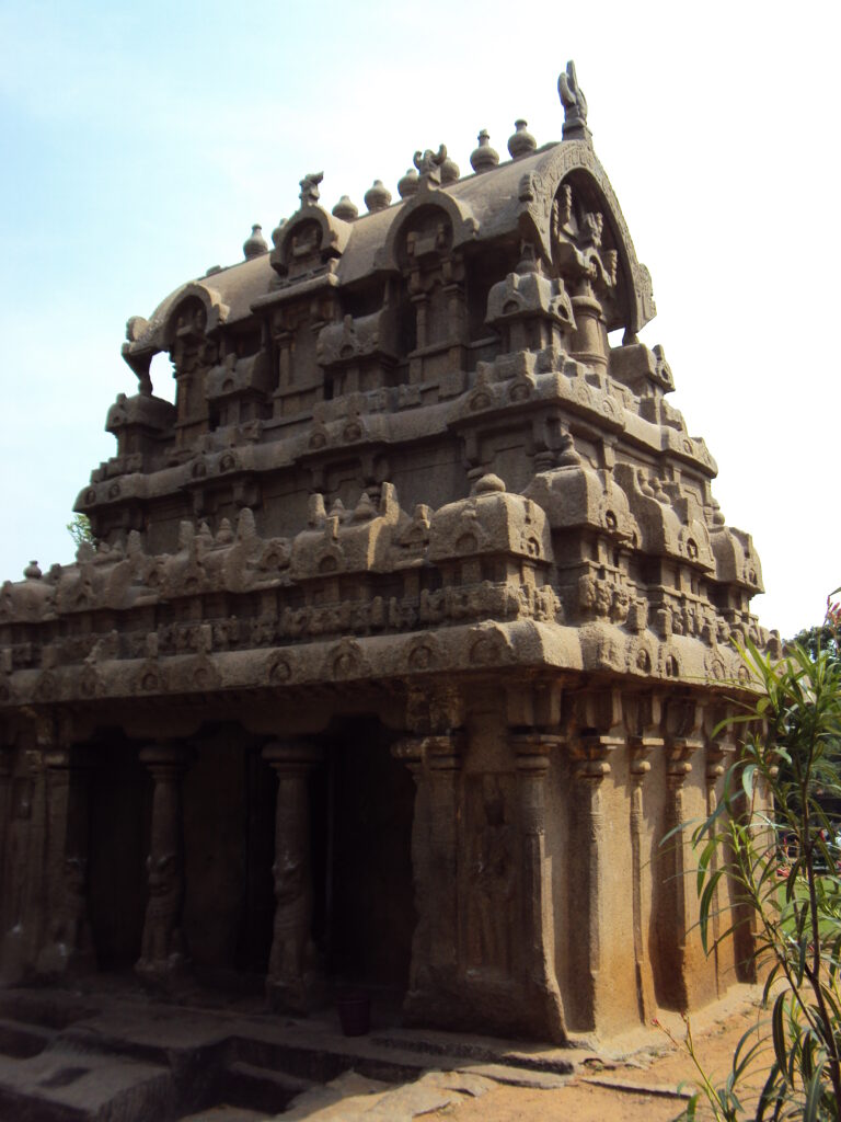 SNAKE PARK, CHENNAI romulus whitaker Tamil Nadu beach shore temple chennai kanya kumari madurai pondicherry mahabalipuram kodaikanal rameshwaram heritage historical