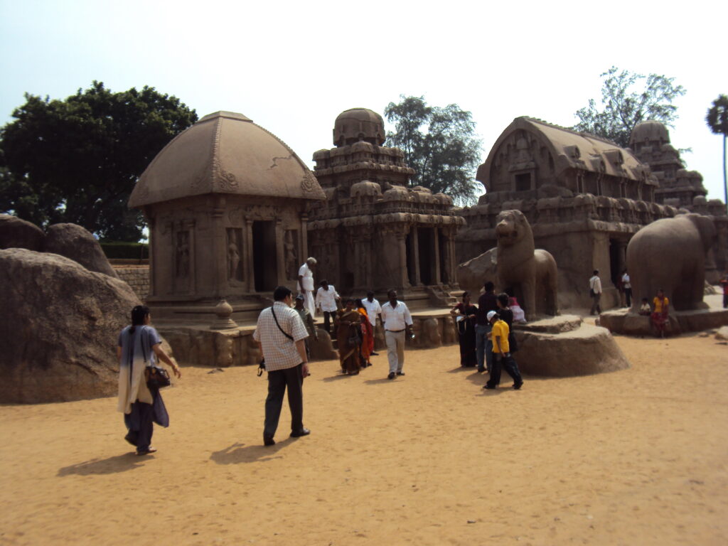 SNAKE PARK, CHENNAI romulus whitaker Tamil Nadu beach shore temple chennai kanya kumari madurai pondicherry mahabalipuram kodaikanal rameshwaram heritage historical