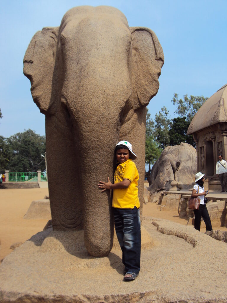 SNAKE PARK, CHENNAI romulus whitaker Tamil Nadu beach shore temple chennai kanya kumari madurai pondicherry mahabalipuram kodaikanal rameshwaram heritage historical