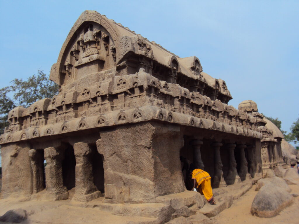 SNAKE PARK, CHENNAI romulus whitaker Tamil Nadu beach shore temple chennai kanya kumari madurai pondicherry mahabalipuram kodaikanal rameshwaram heritage historical pancha rathas