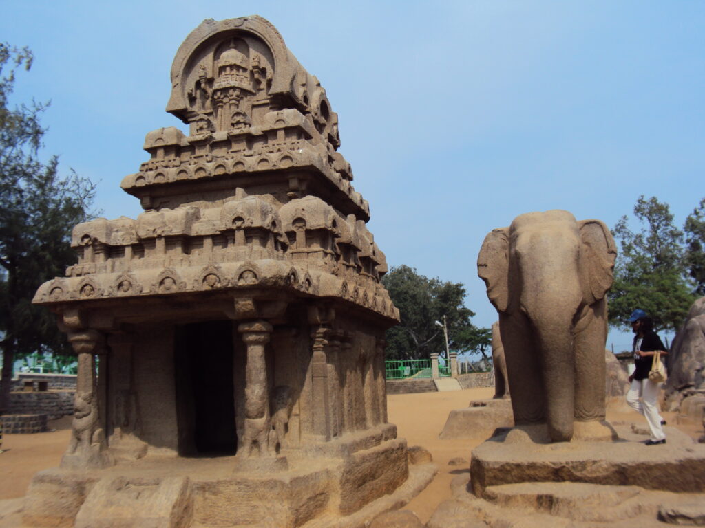 SNAKE PARK, CHENNAI romulus whitaker Tamil Nadu beach shore temple chennai kanya kumari madurai pondicherry mahabalipuram kodaikanal rameshwaram heritage historical pancha rathas