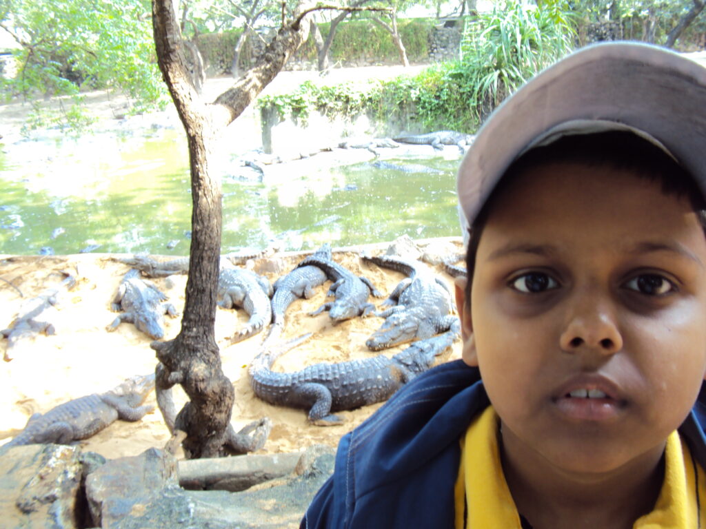 SNAKE PARK, CHENNAI romulus whitaker Tamil Nadu beach shore temple chennai kanya kumari madurai pondicherry mahabalipuram kodaikanal rameshwaram heritage historical