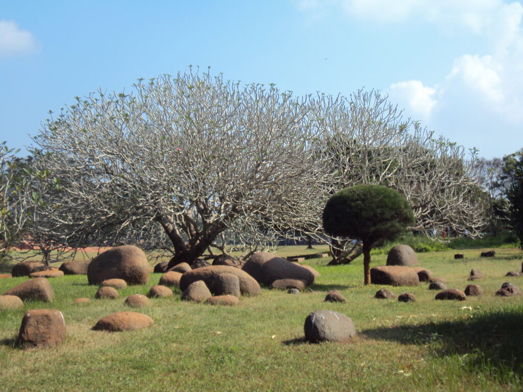 SNAKE PARK, CHENNAI romulus whitaker Tamil Nadu beach shore temple chennai kanya kumari madurai pondicherry mahabalipuram kodaikanal rameshwaram heritage historical auroville matrimandir