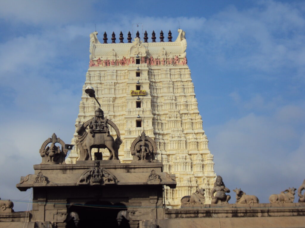 SNAKE PARK, CHENNAI romulus whitaker Tamil Nadu beach shore temple chennai kanya kumari madurai pondicherry mahabalipuram kodaikanal rameshwaram heritage historical