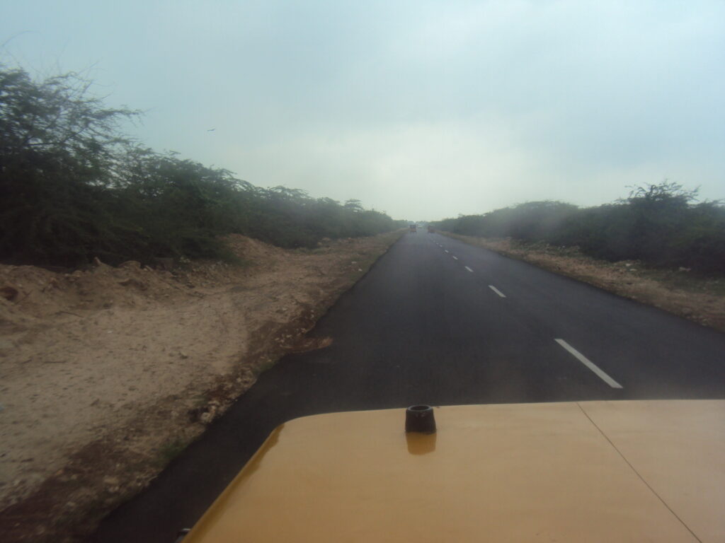 SNAKE PARK, CHENNAI romulus whitaker Tamil Nadu beach shore temple chennai kanya kumari madurai pondicherry mahabalipuram kodaikanal rameshwaram heritage historical DHANUSHKODI